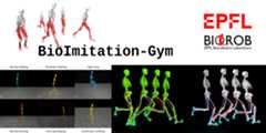 bioimitation-gym