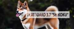 Flatboard