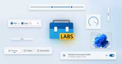 Labs-Windows