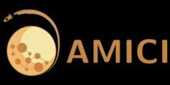 AMICI