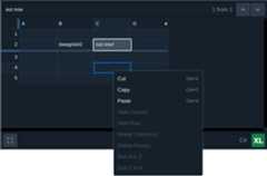 DataGridXL2