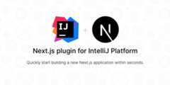 intellij-nextjs