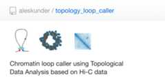 topology_loop_caller