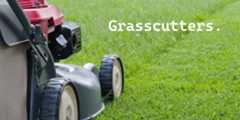 Grasscutter