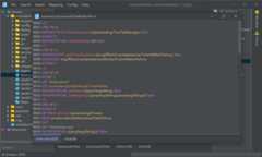 JavaOctetEditor