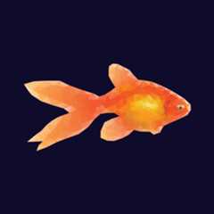 Goldfish