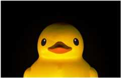 custom-rubberducky-payloads