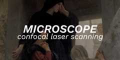 laser-scanning-microscopy
