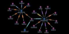 graph-explorer