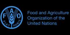 united-nations-fao-statistics-dotnet