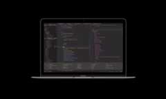 monokai-pro.nvim