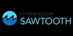 sawtooth-core