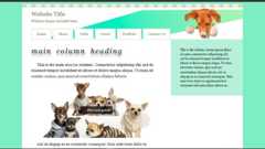 website