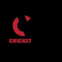 mern-ecommerce-CricketWeapon-Store