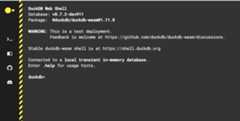 duckdb-wasm-wip