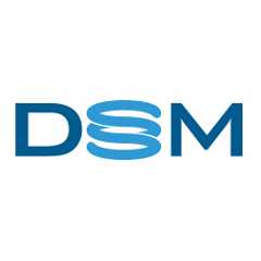 virtual-dsm