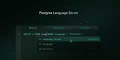 postgres-language-server