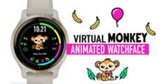 VirtualPetMonkey