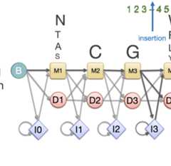 profile-HMM-protein-seq