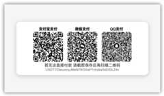 Payment-Code