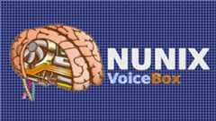 NUNIX_VoiceBox