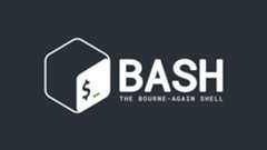 bash-pro