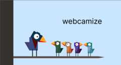 webcamize