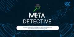 MetaDetective