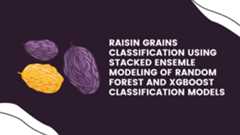 Raisin-Grain-Prediction-Using-a-StackedEnsembleModel