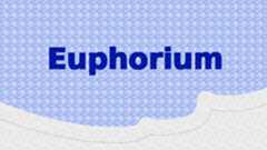 Euphorium