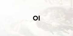 open-webui