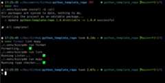 python_template_repo