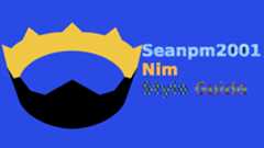 Seanpm2001_Nim_Style-Guide
