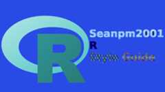 Seanpm2001_R_Style-Guide