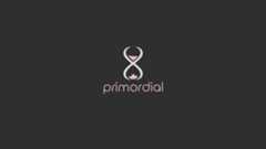 primordial-crack