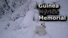 Guinea-Myrick-Memorial