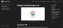 Google-Learning-Program