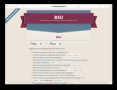 bsu