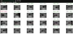 Iris-of-eyes-recognition