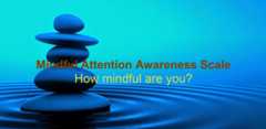 MindfulAttentionAwarenessScale