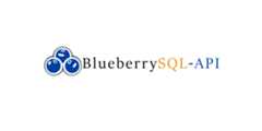 BlueberrySQL-API