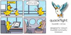 quackflight