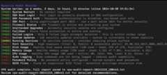 vps-audit