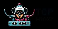 chicha-tcp-proxy