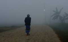 Fog_Terai_20240109092611.jpg