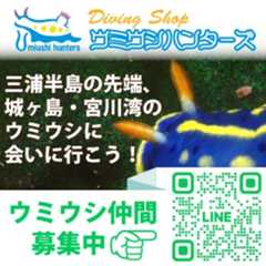 ダイビングショップ ウミウシハンターズ