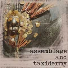 taxidermy and other oddities