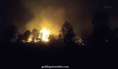 Woman dies in wildfire, four injured