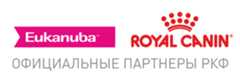 Главная