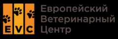 Главная